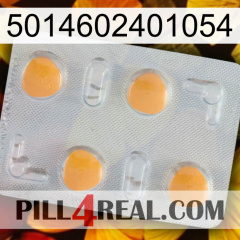 5014602401054 24